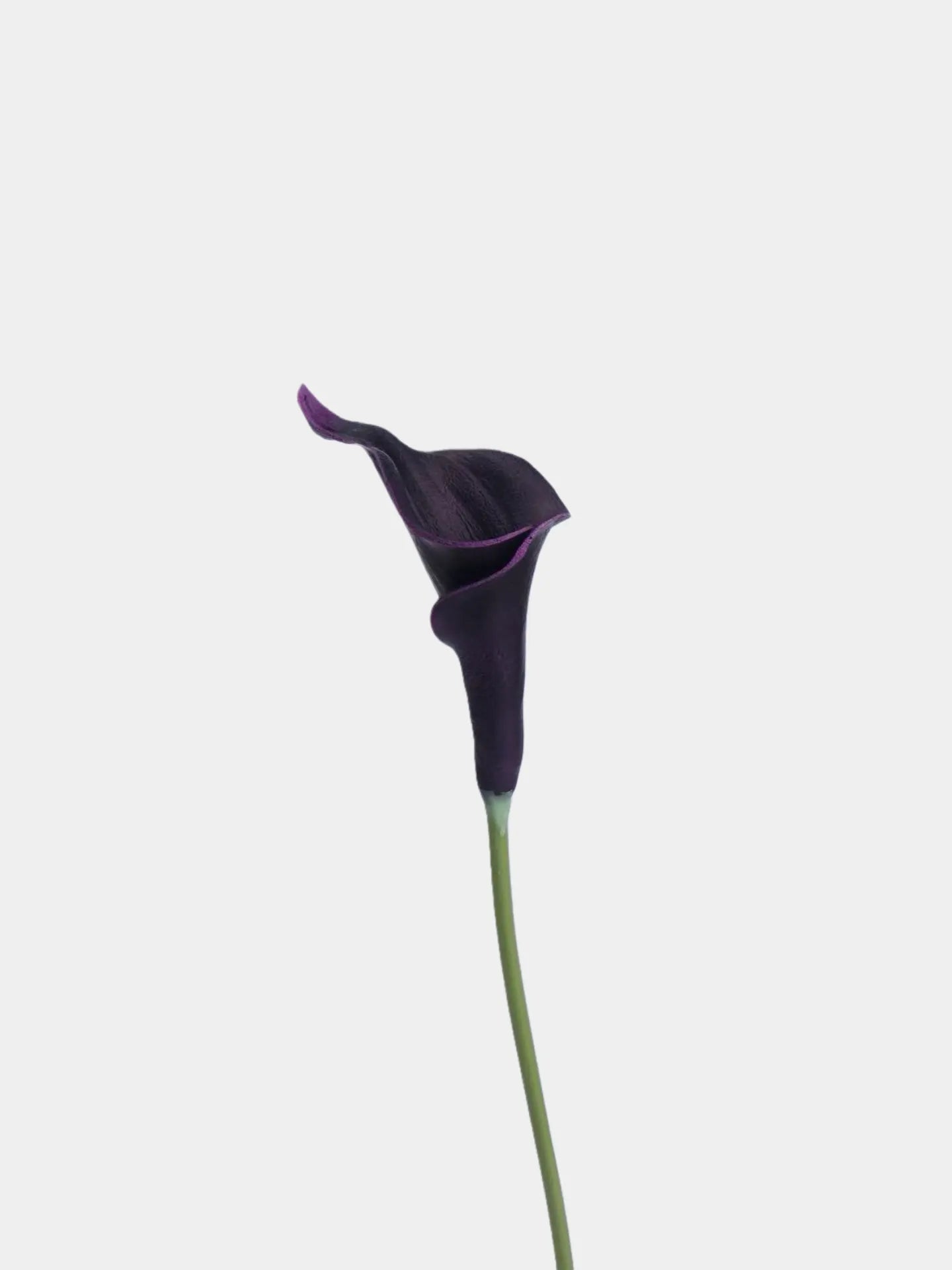 Real Touch Faux Calla Lily Stem –Dark Purple 20.9″