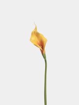 Real-Touch künstliche Calla-Lilie – 53 cm