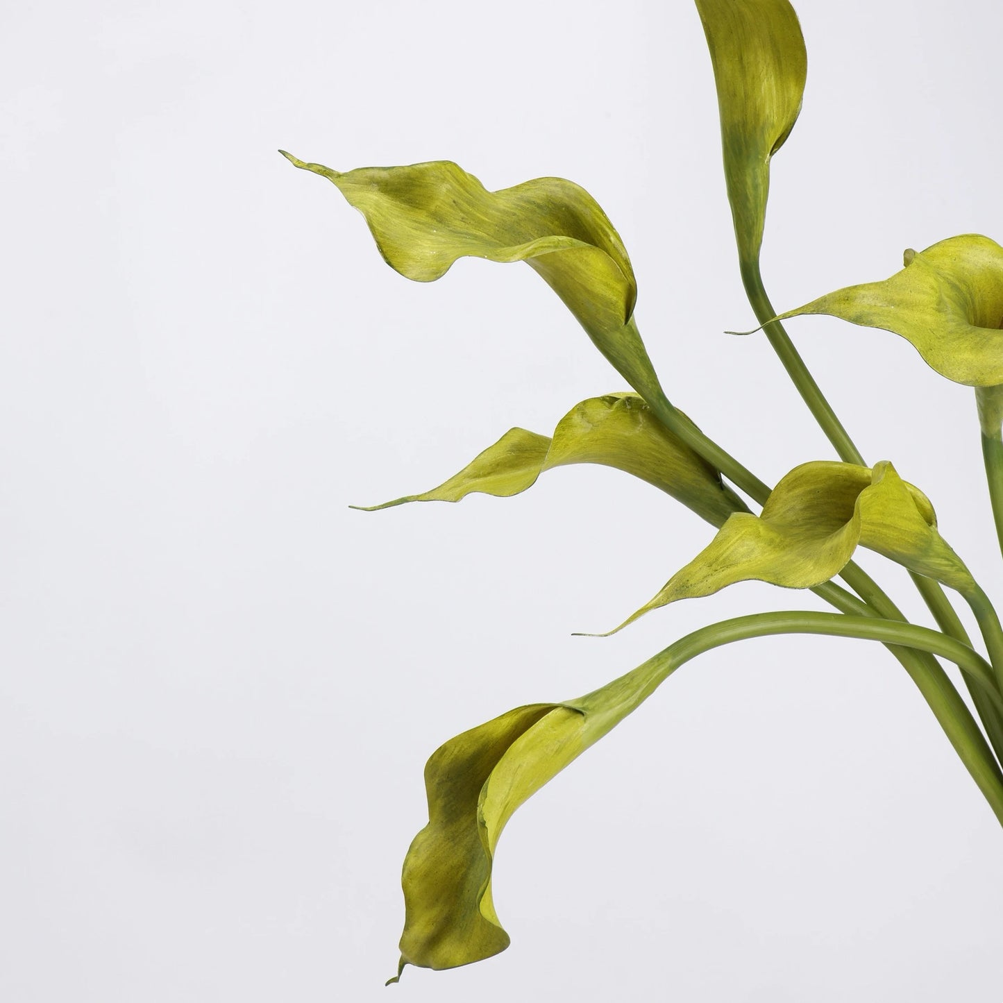 Real-Touch künstliche Calla-Lilie – 53 cm