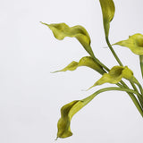 Real-Touch künstliche Calla-Lilie – 53 cm