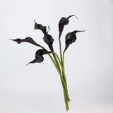 Real-Touch künstliche Calla-Lilie – 53 cm
