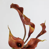 Real-Touch künstliche Calla-Lilie – 53 cm