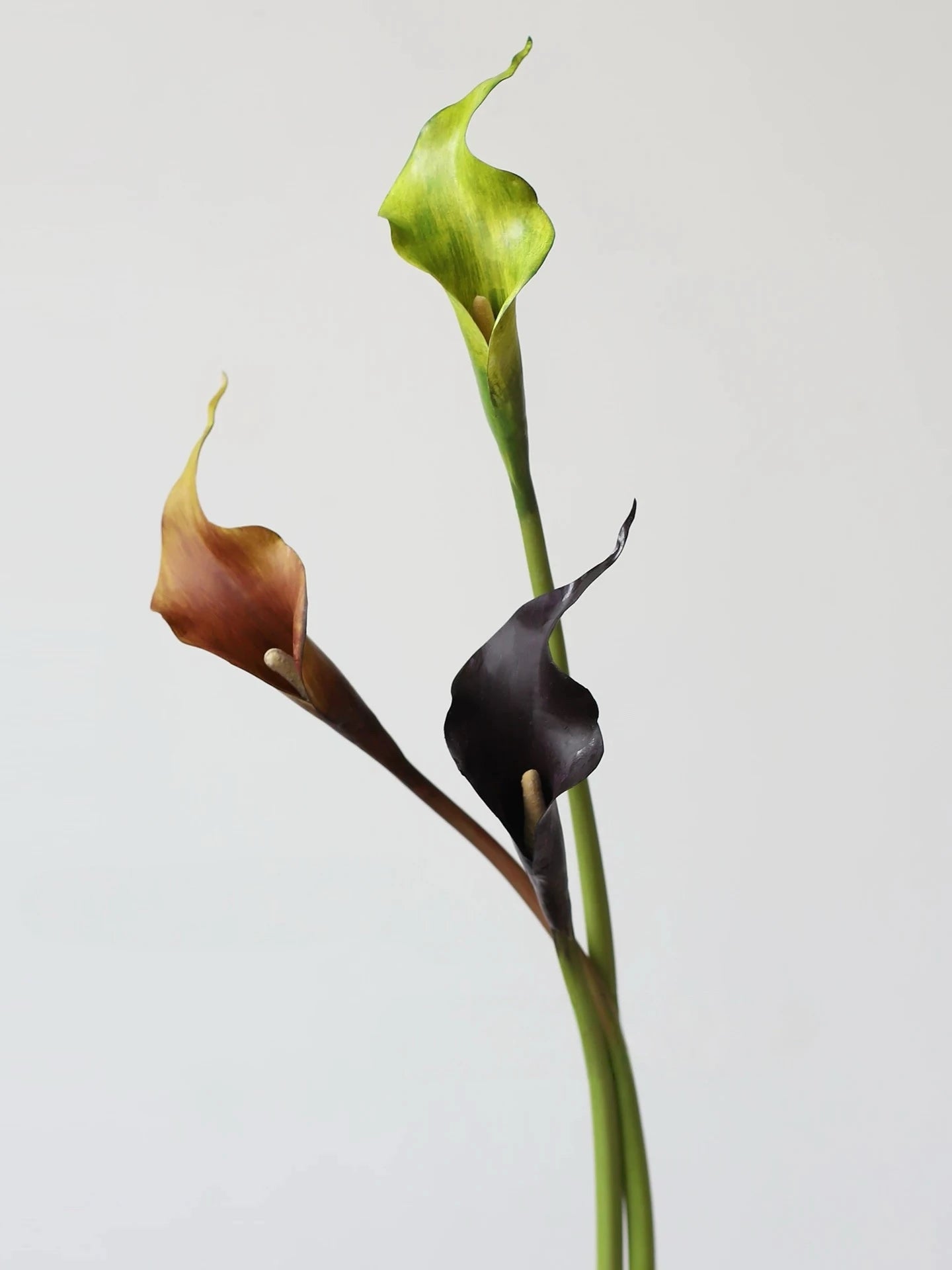 Real-Touch künstliche Calla-Lilie – 53 cm