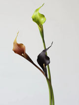Real-Touch künstliche Calla-Lilie – 53 cm