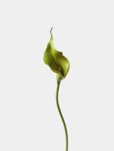 Real-Touch künstliche Calla-Lilie – 53 cm
