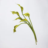 Real-Touch künstliche Calla-Lilie – 53 cm
