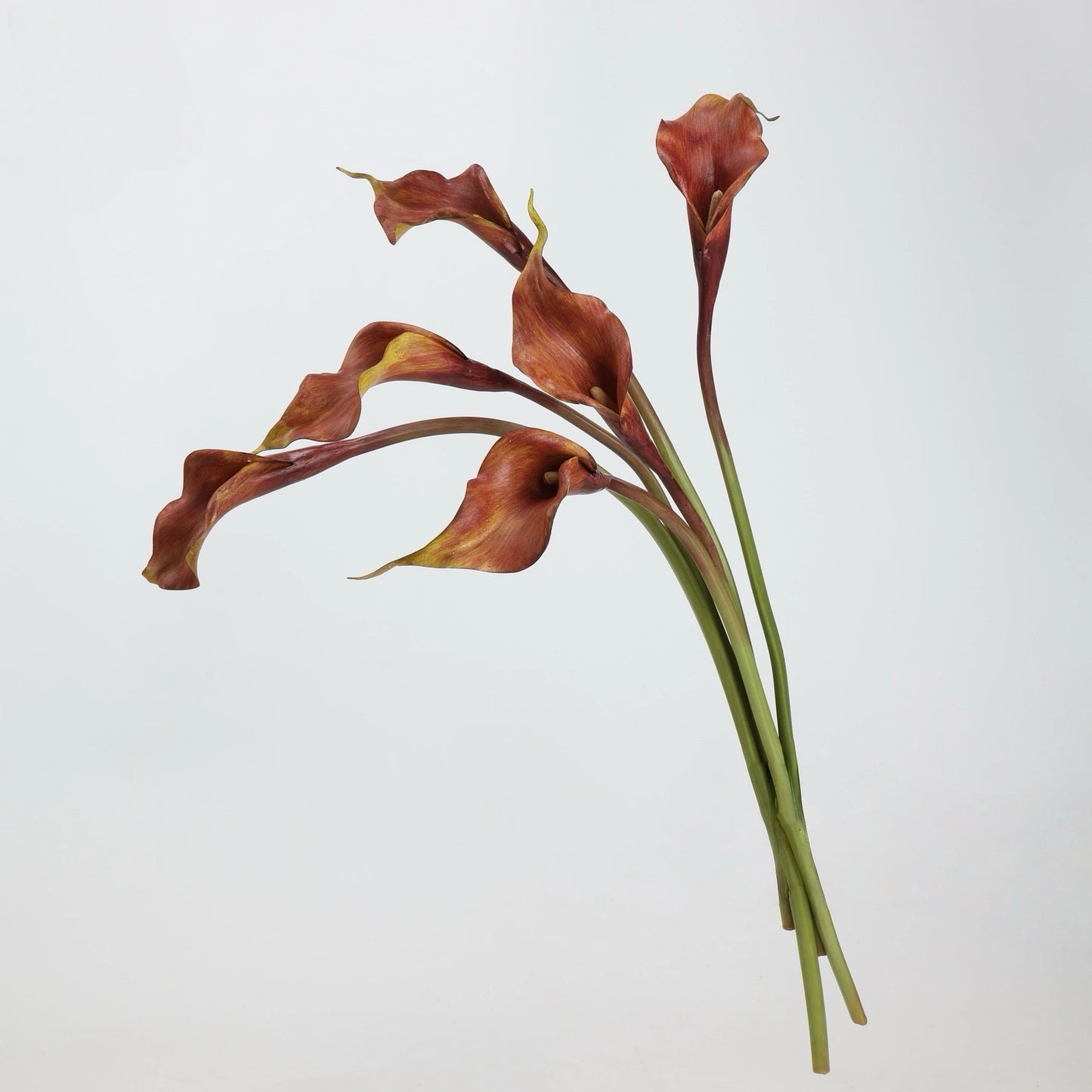 Real-Touch künstliche Calla-Lilie – 53 cm