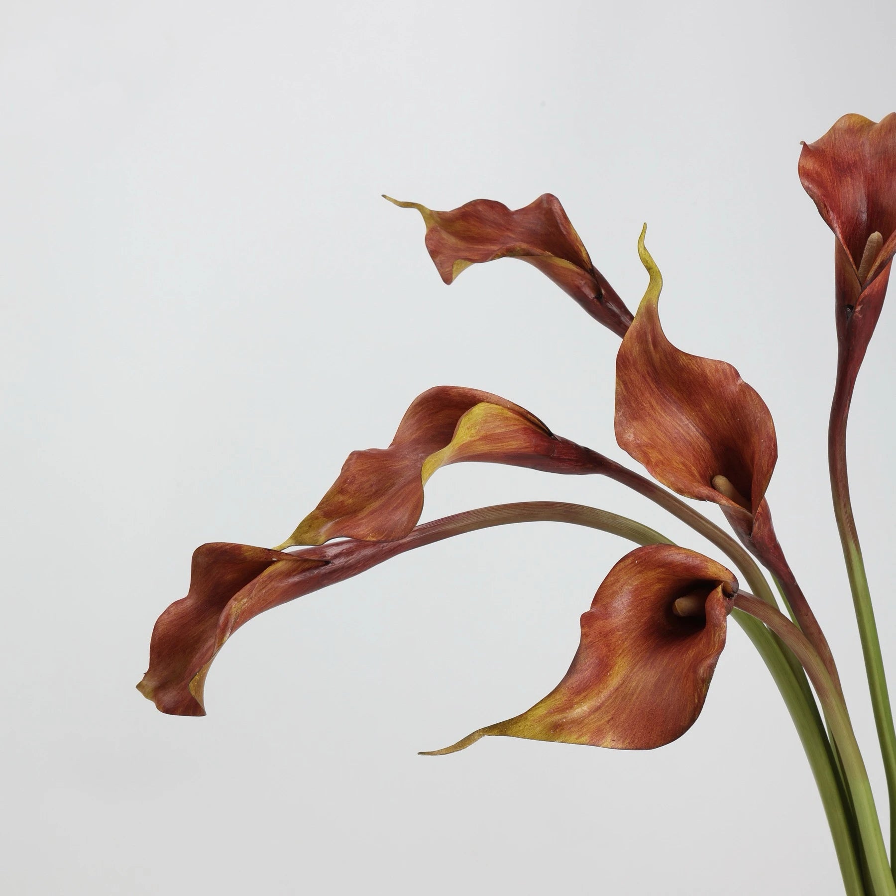 Real-Touch künstliche Calla-Lilie – 53 cm