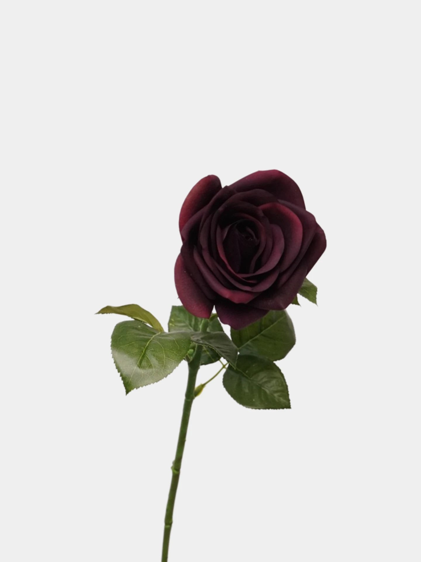 Echte Haptik Künstliche Carola-Rose in Tiefpurpur – 66 cm