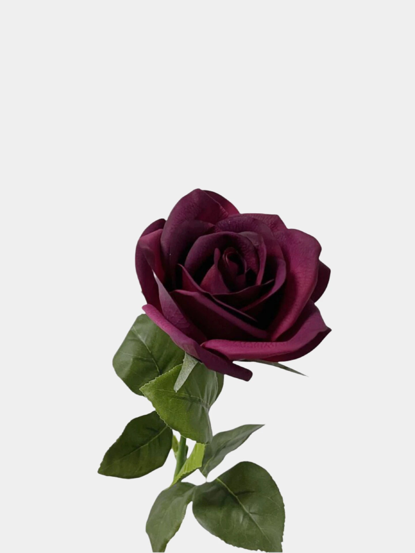 Echte Haptik Künstliche Carola-Rose in Tiefpurpur – 66 cm