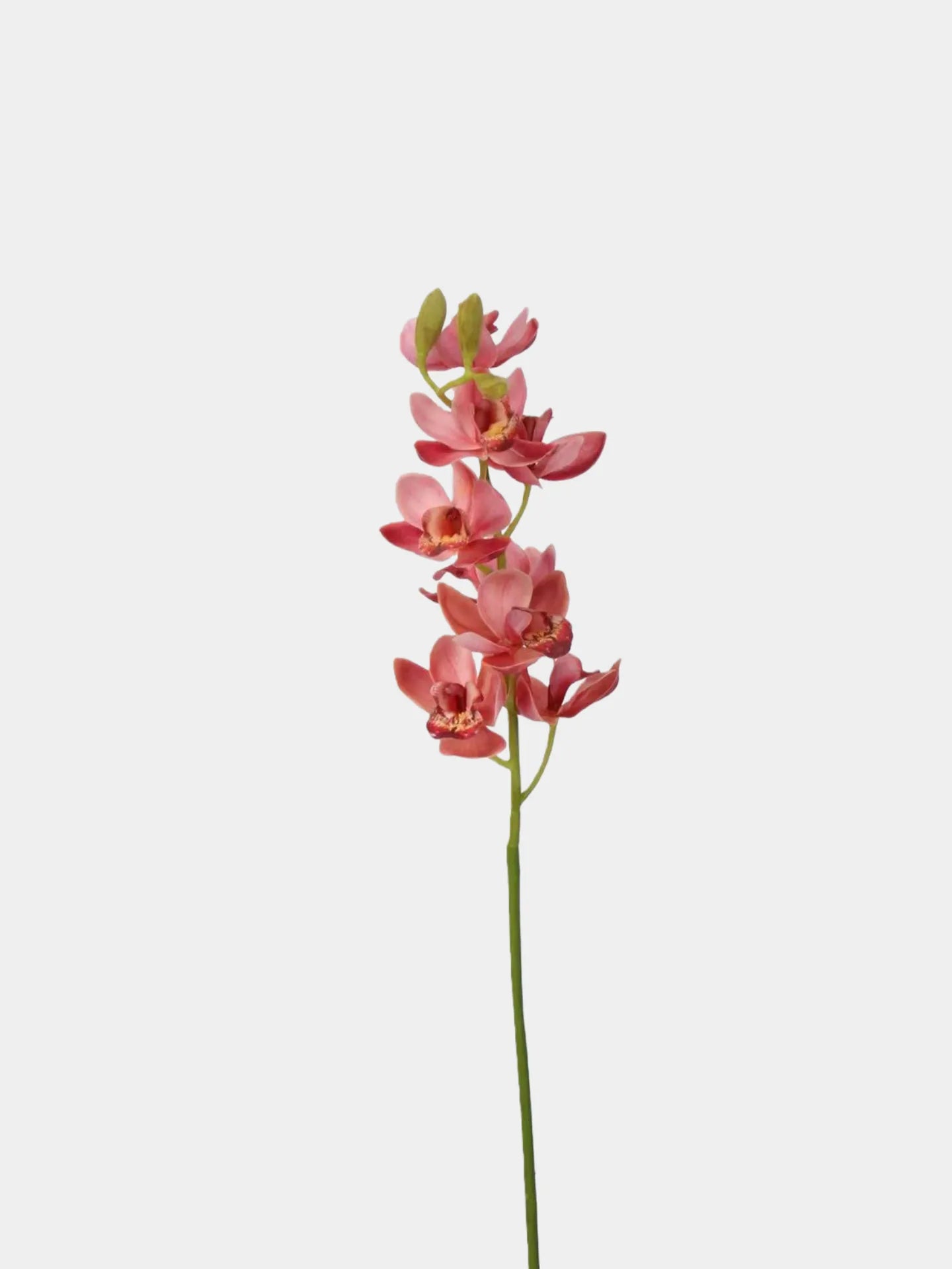 Real Touch Faux Cymbidium Orchid Stem — 27" Rose Red