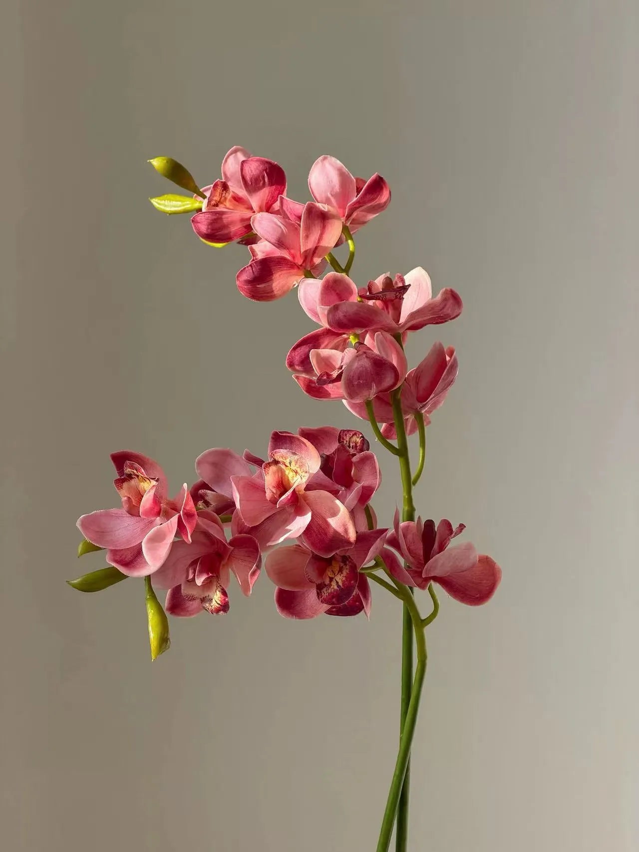 Real Touch Faux Cymbidium Orchid Stem — 27" Rose Red