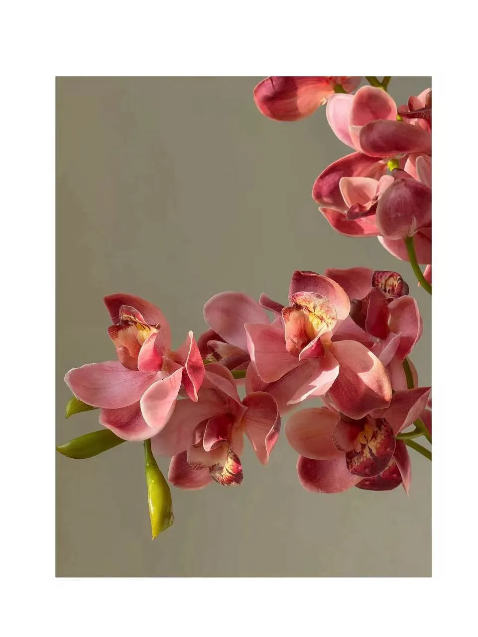 Real Touch Faux Cymbidium Orchid Stem — 27" Rose Red