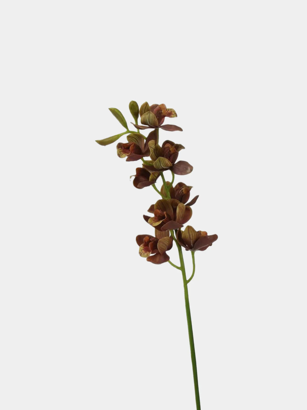 Real Touch Faux Cymbidium Orchid Stem — 27" Brown