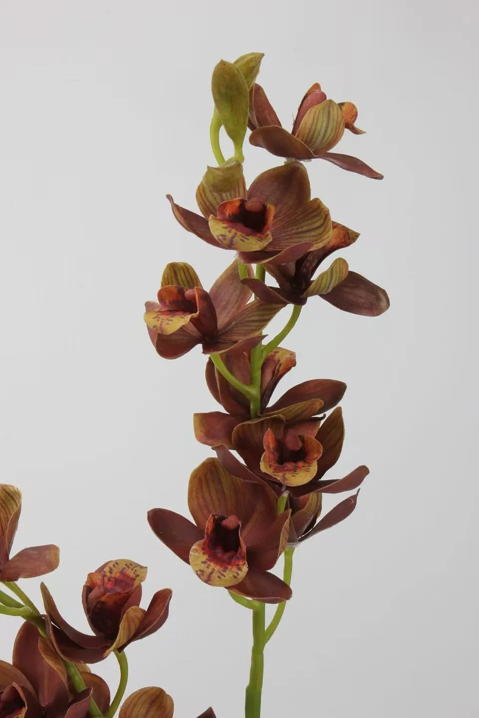 Real Touch Faux Cymbidium Orchid Stem — 27" Brown