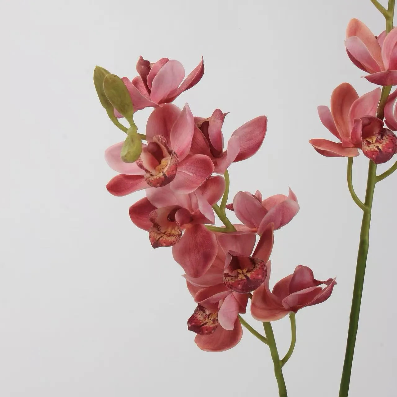 Real Touch Faux Cymbidium Orchid Stem — 27" Rose Red