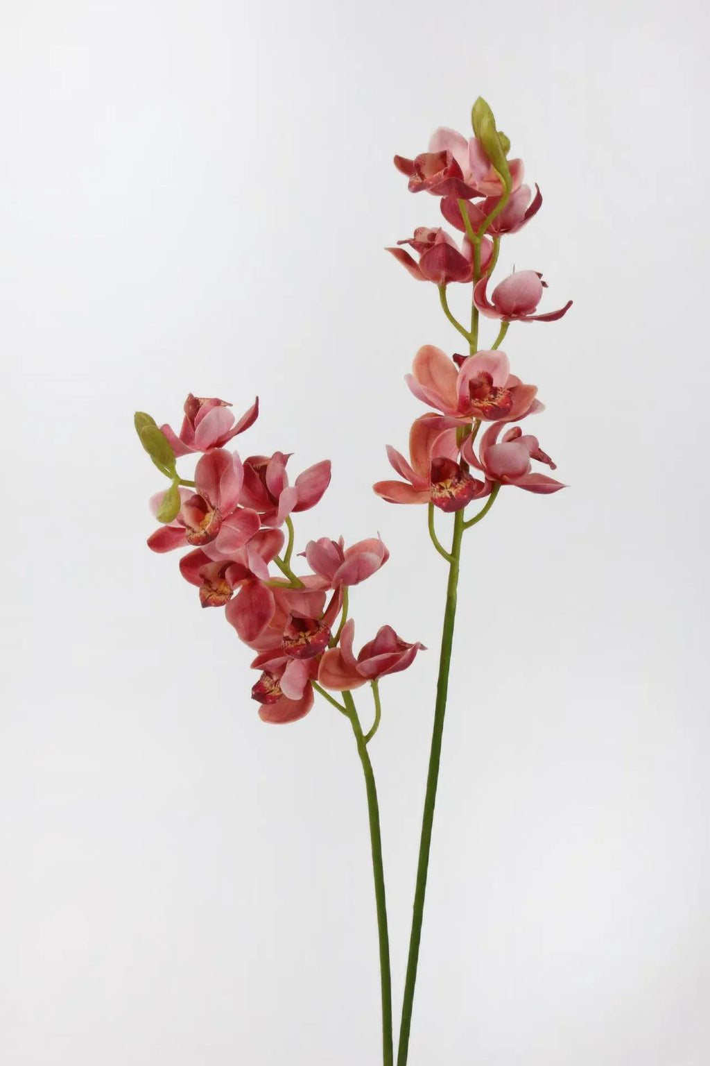 Real Touch Faux Cymbidium Orchid Stem — 27" Rose Red