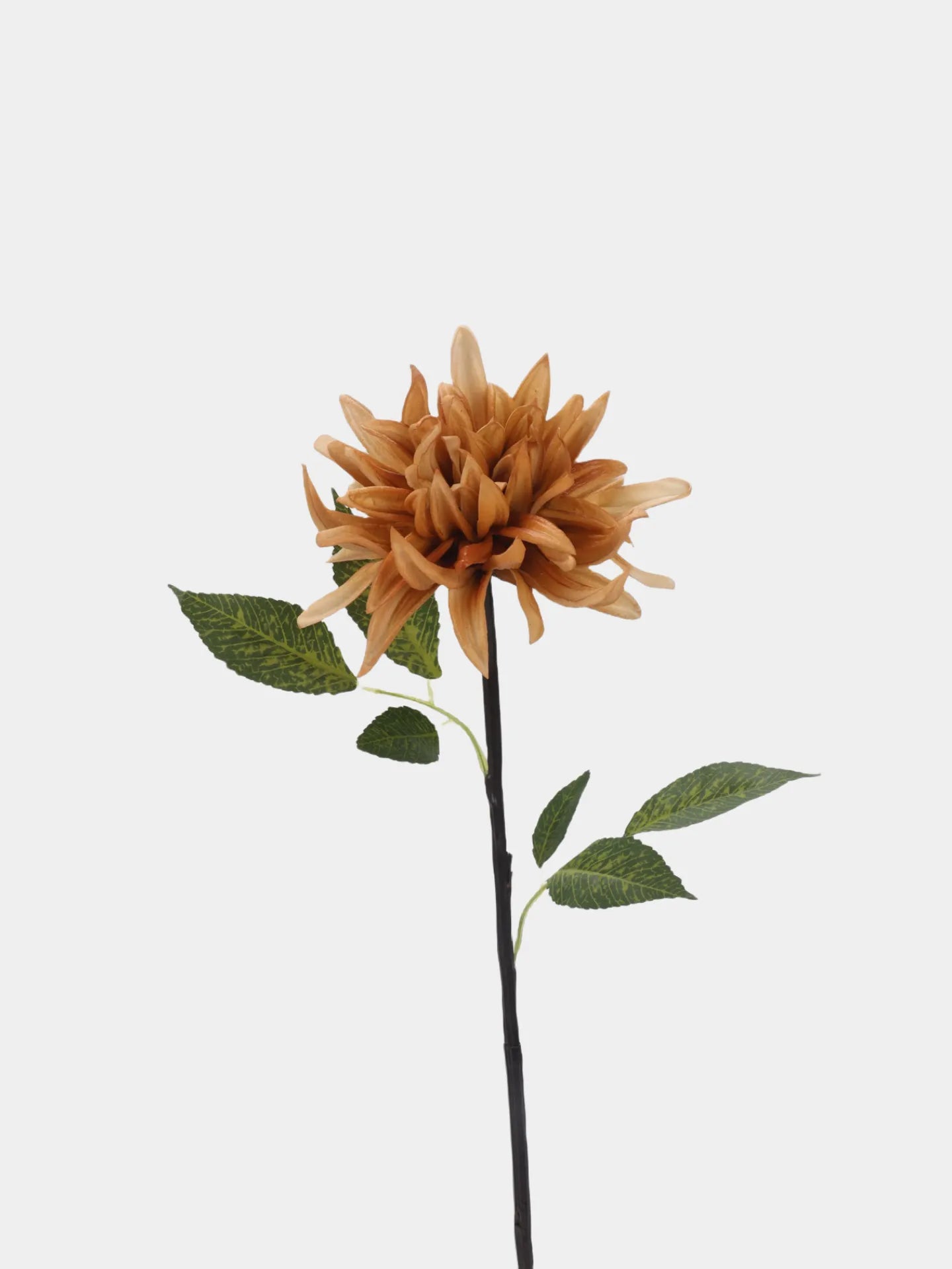 Real Touch Faux Dahlia Flower-Brown-20.8"