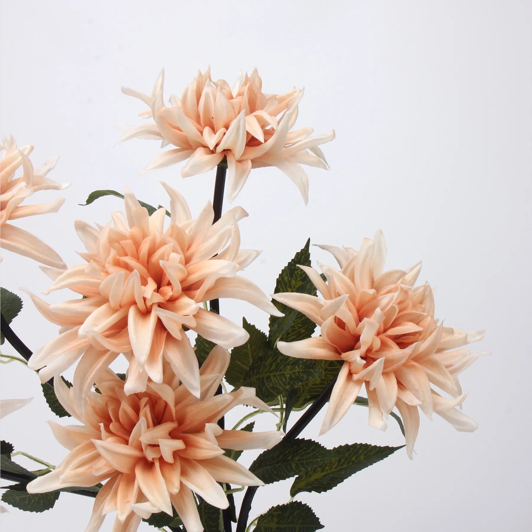 Real Touch Faux Dahlia Flower-Champagne Pink-20.8"