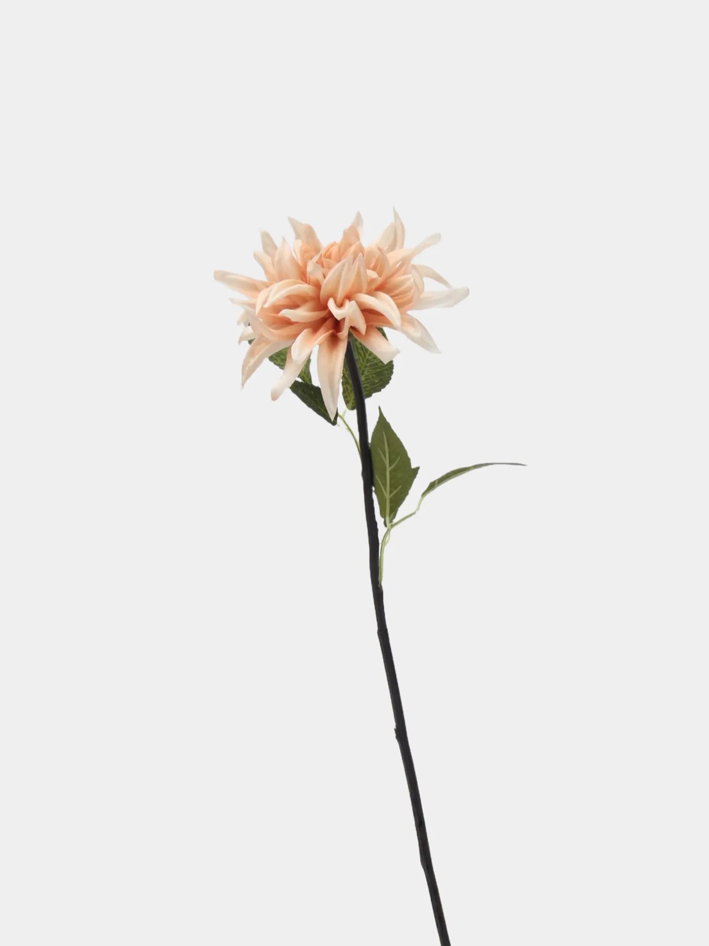Real Touch Faux Dahlia Flower-Champagne Pink-20.8"