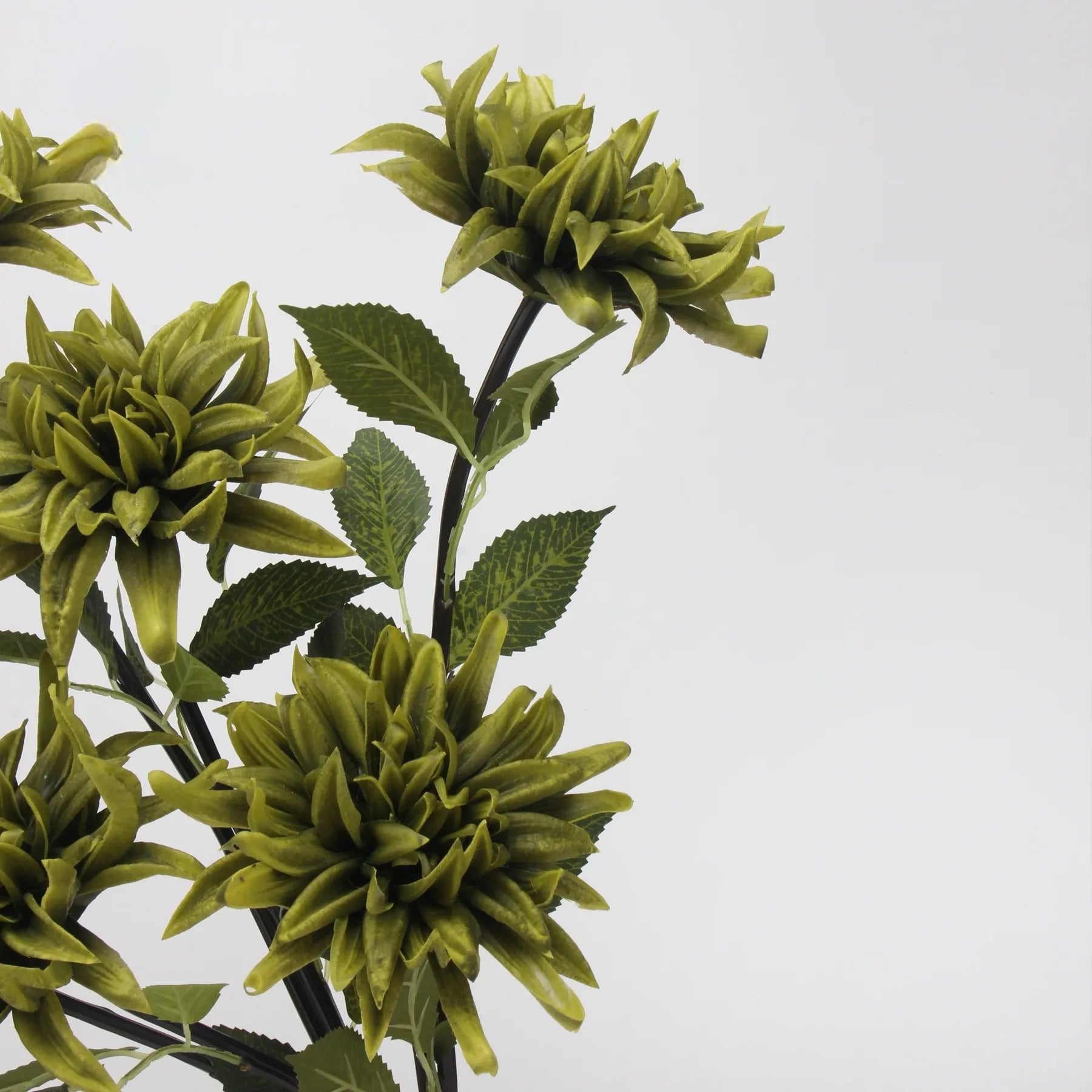 Real Touch Faux Dahlia Flower-Green-20.8"