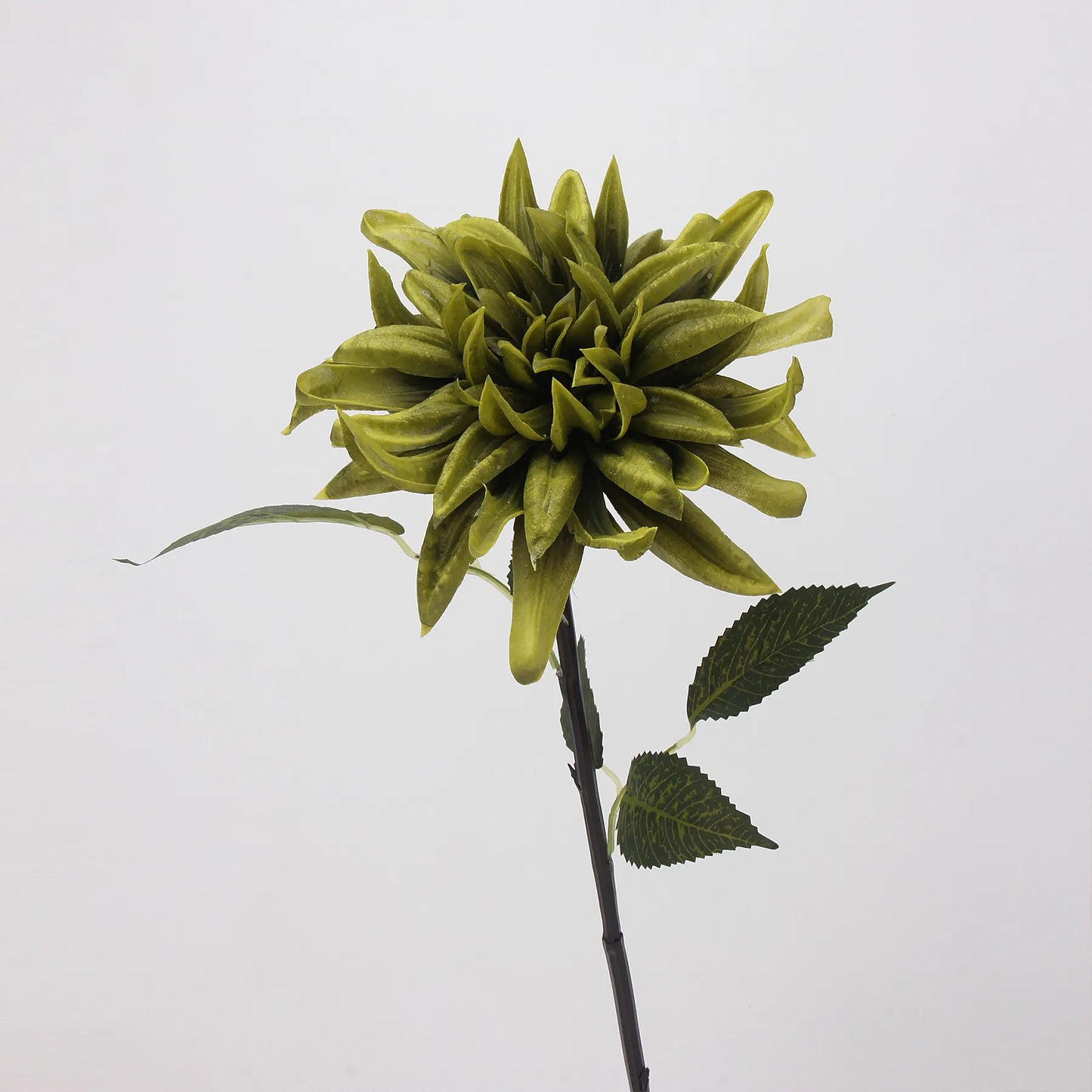 Dahlienblüte aus Kunstseide, „Real Touch“, Grün, 52,8 cm