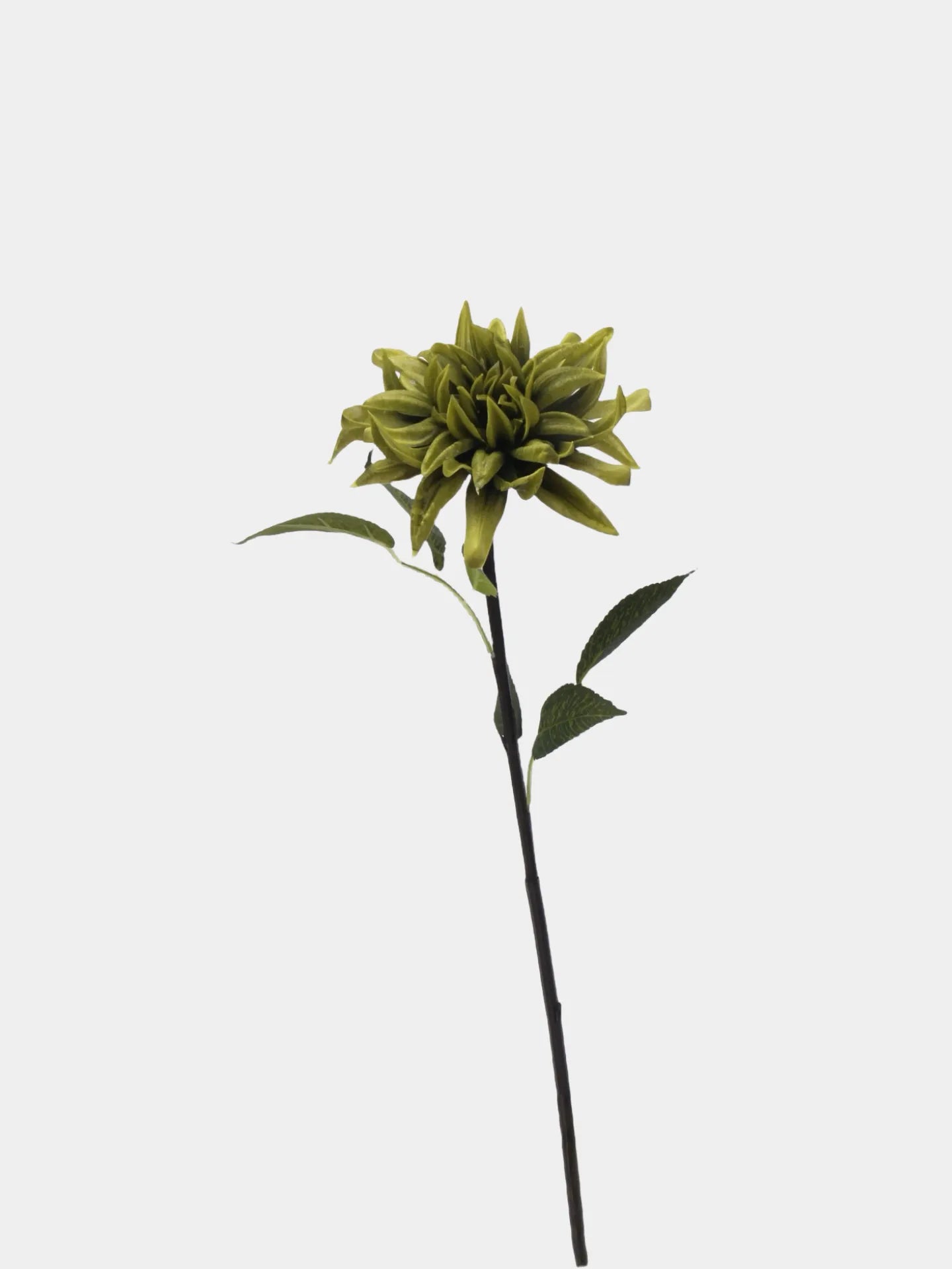 Dahlienblüte aus Kunstseide, „Real Touch“, Grün, 52,8 cm