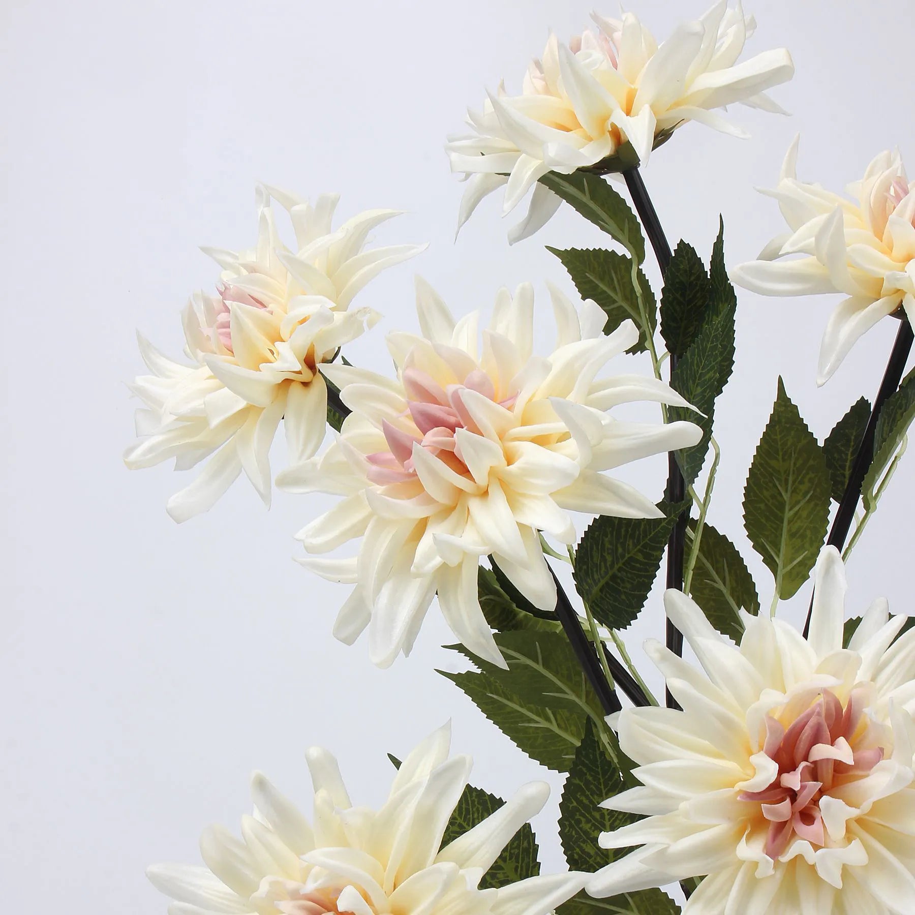 Real Touch Faux Dahlia Flower-Ivory and Pink-20.8"