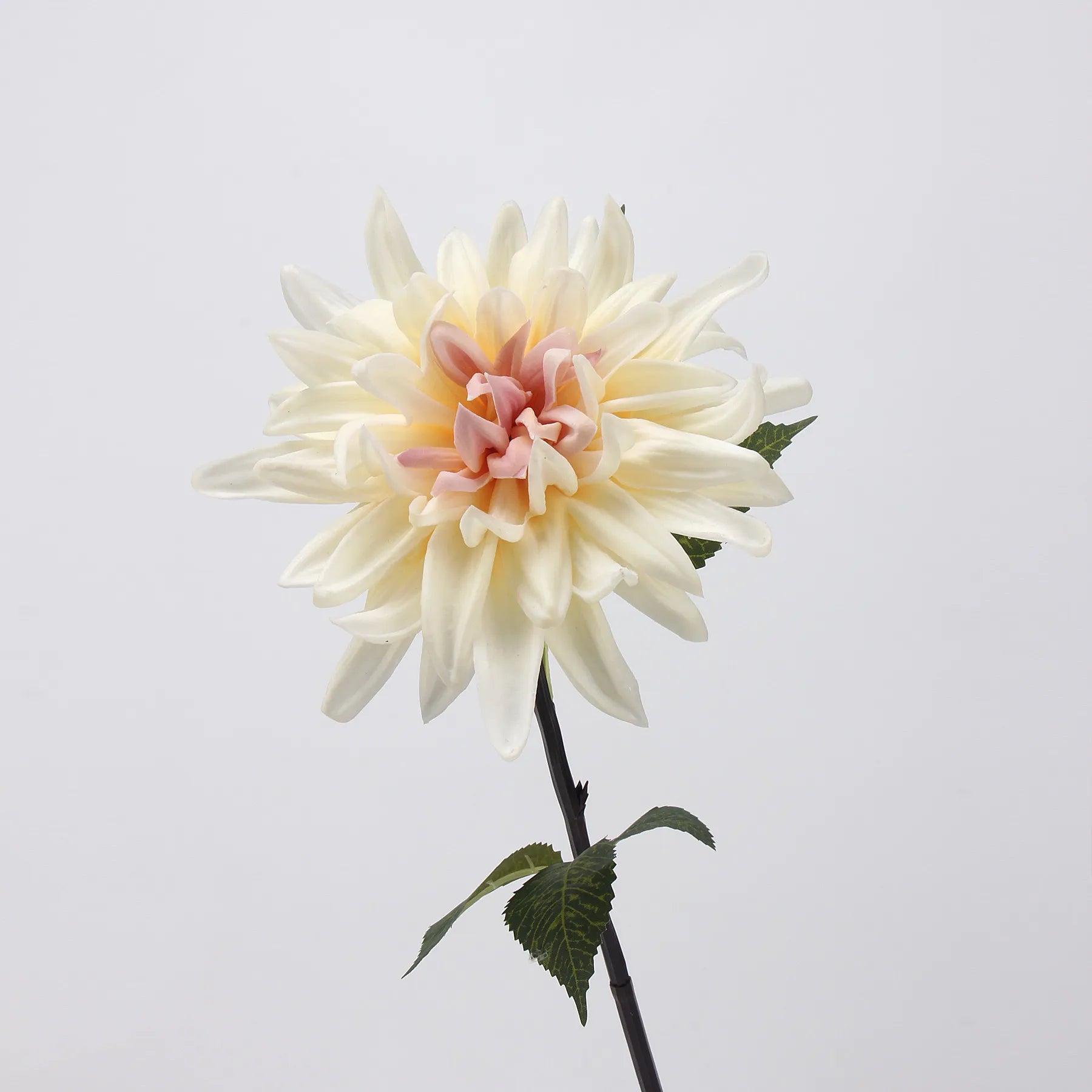Real Touch Faux Dahlia Flower-Ivory and Pink-20.8"