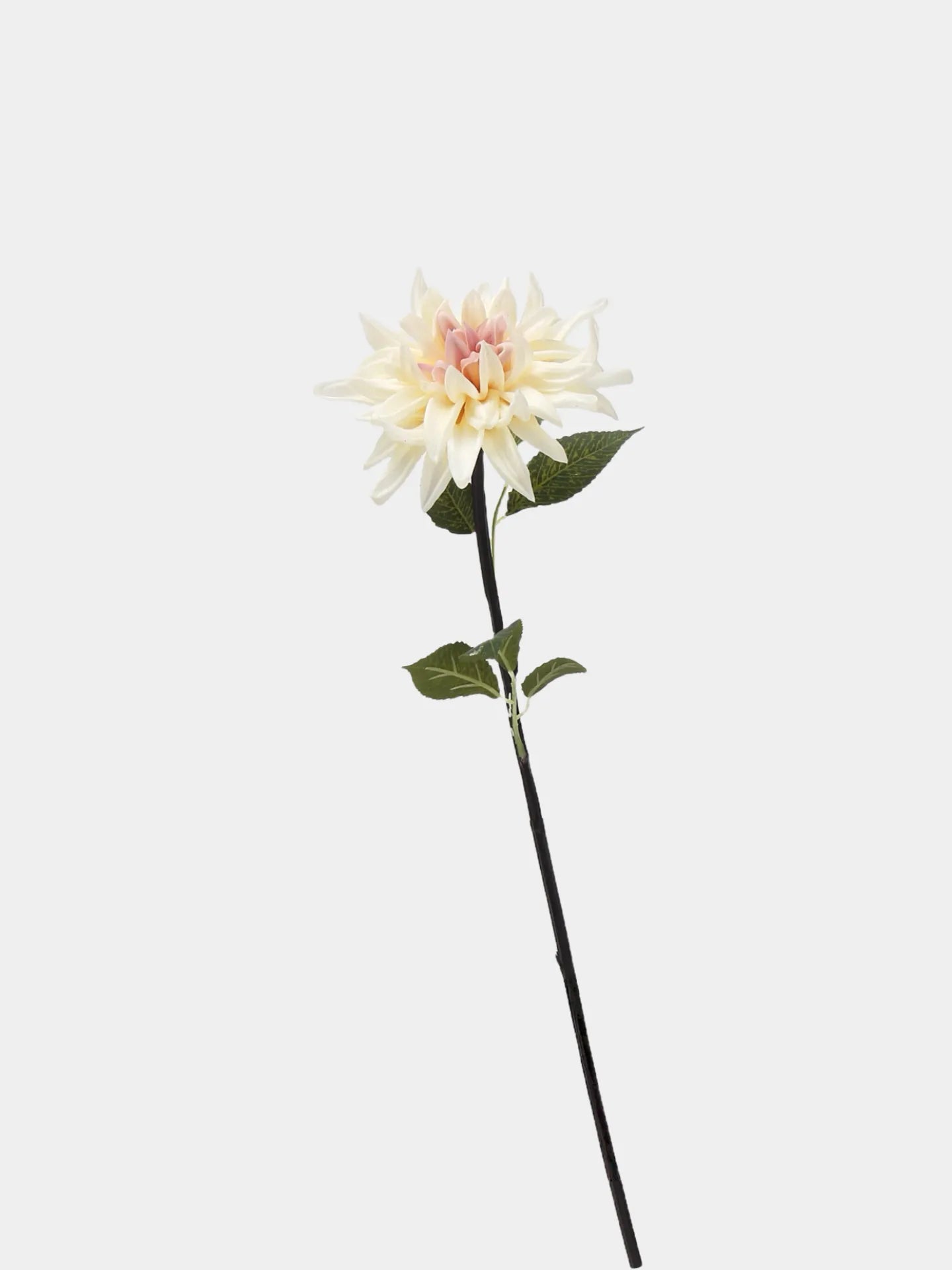 Real Touch Faux Dahlia Flower-Ivory and Pink-20.8"
