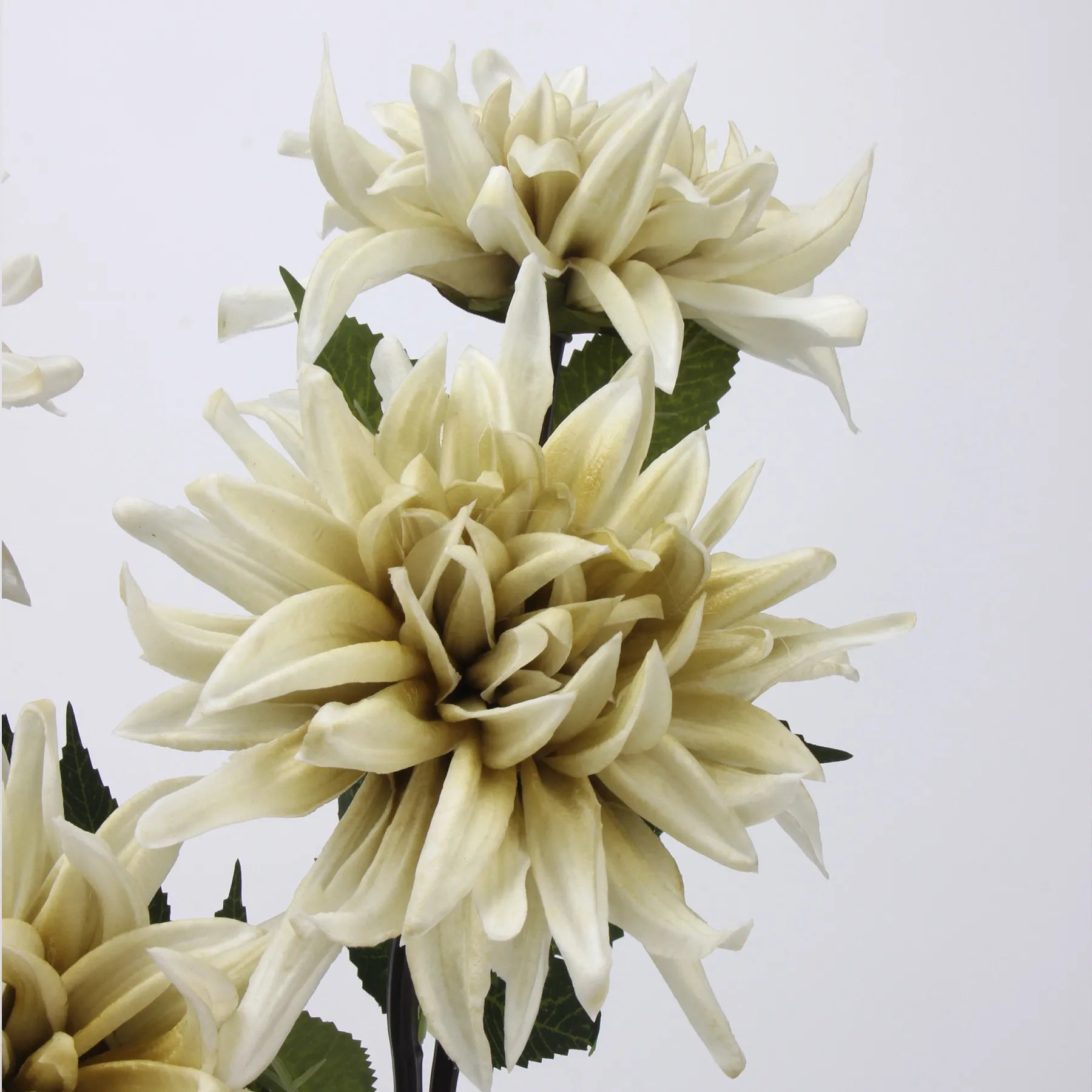 Echte Haptik Künstliche Dahlienblume – Hellgrün – 52,8 cm