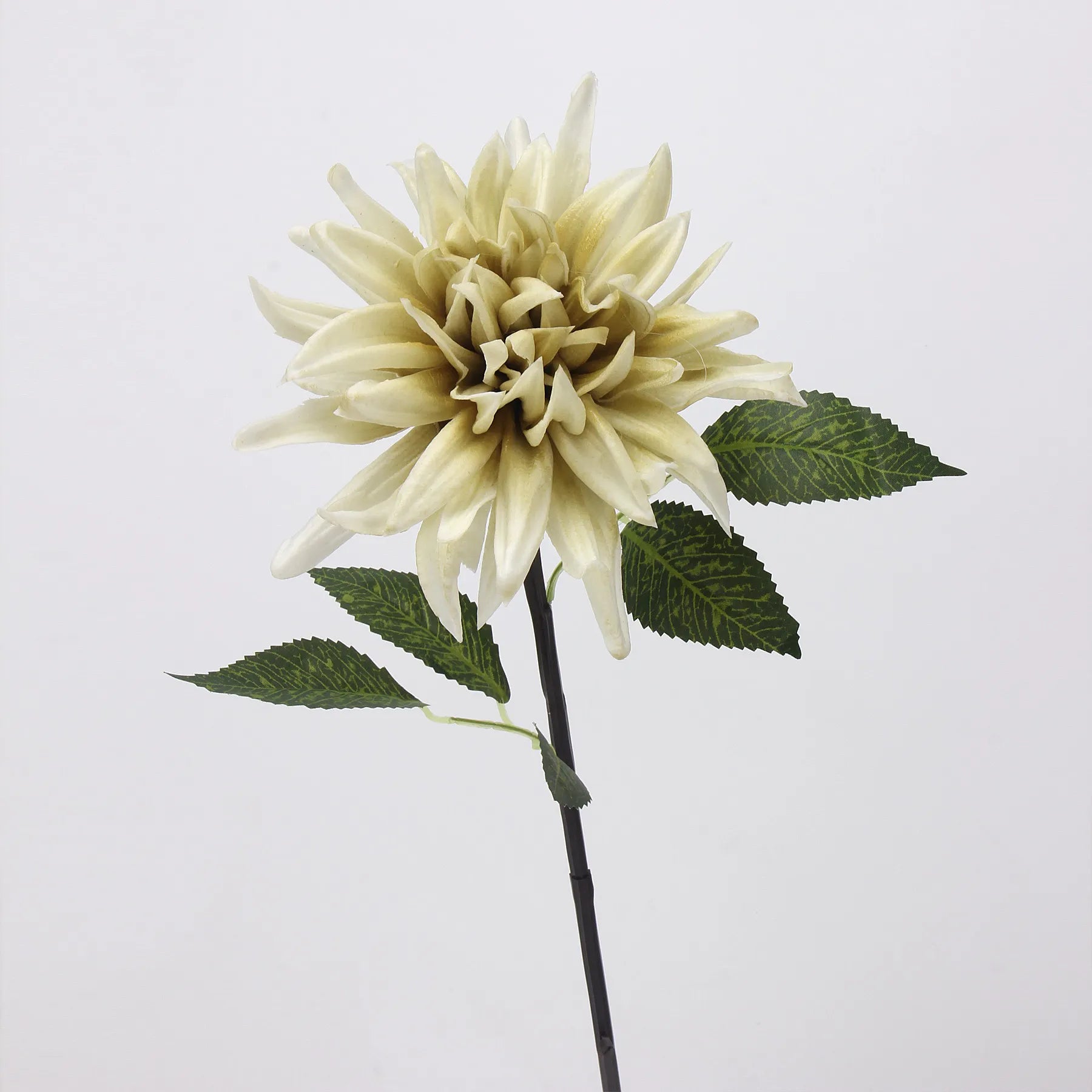 Real Touch Faux Dahlia Flower-Pale Green-20.8"