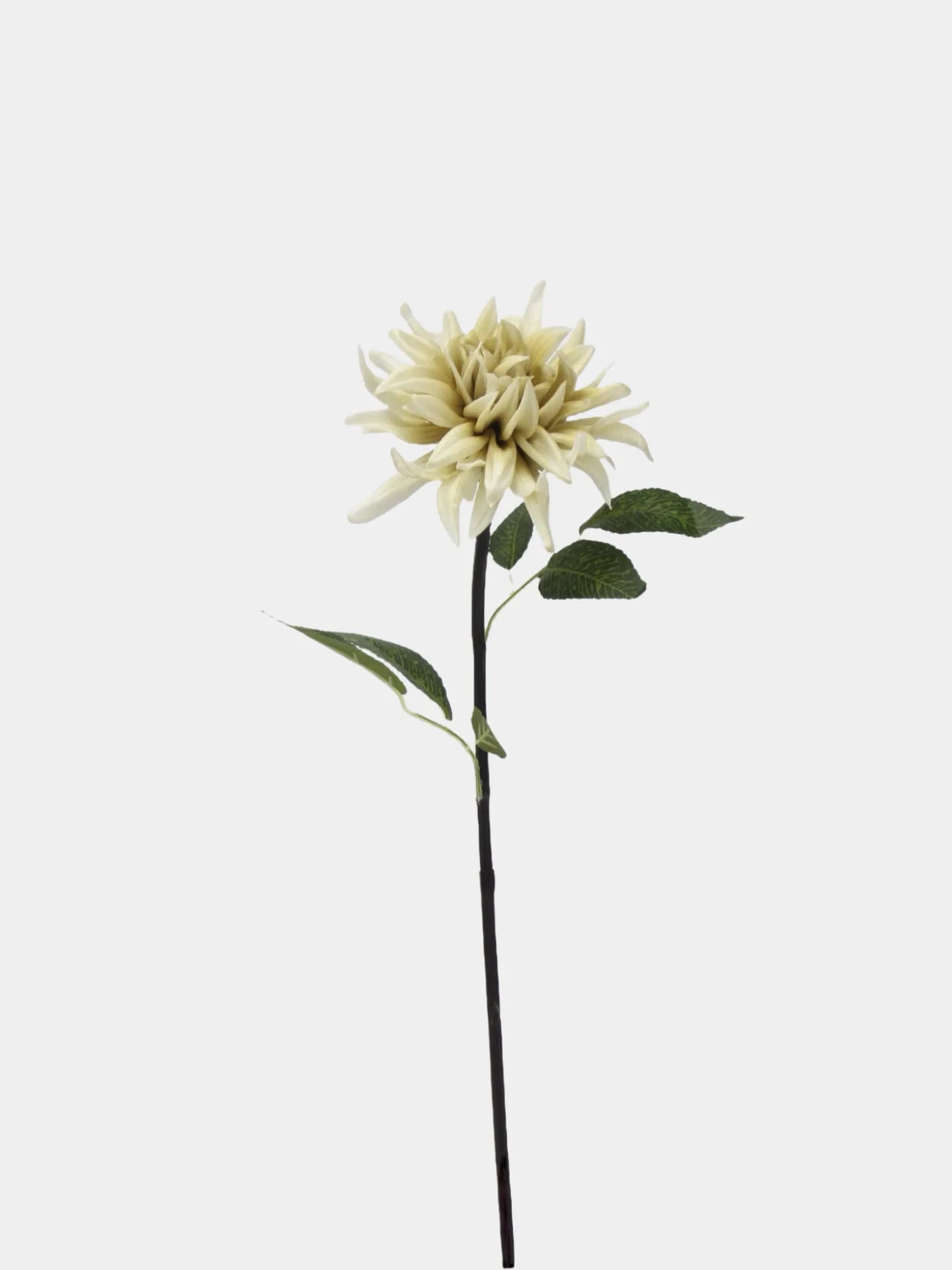 Real Touch Faux Dahlia Flower-Pale Green-20.8"