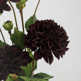 Real Touch Faux Dahlia Stem –22"