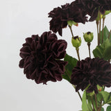 Real Touch Faux Dahlia Stem –22"