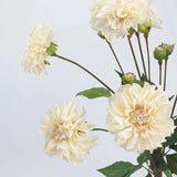 Real Touch Faux Dahlia Stem –22"