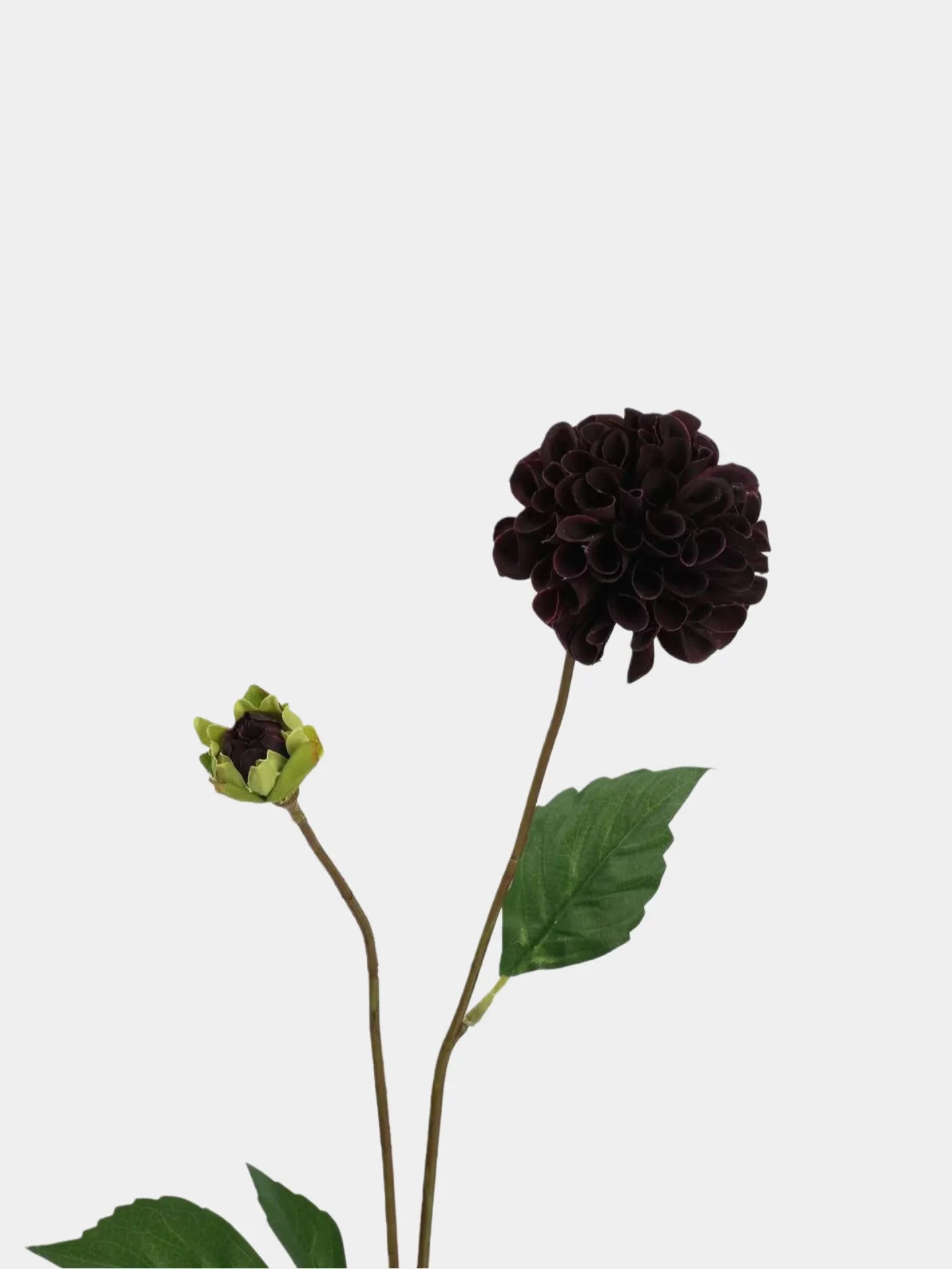 Real Touch Faux Dutch Dahlia Stem –22"