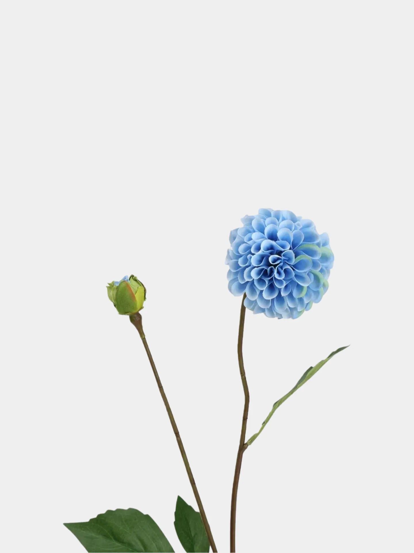 Real Touch Faux Dutch Dahlia Stem –22"