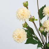 Real Touch Faux Dutch Dahlia Stem –22"