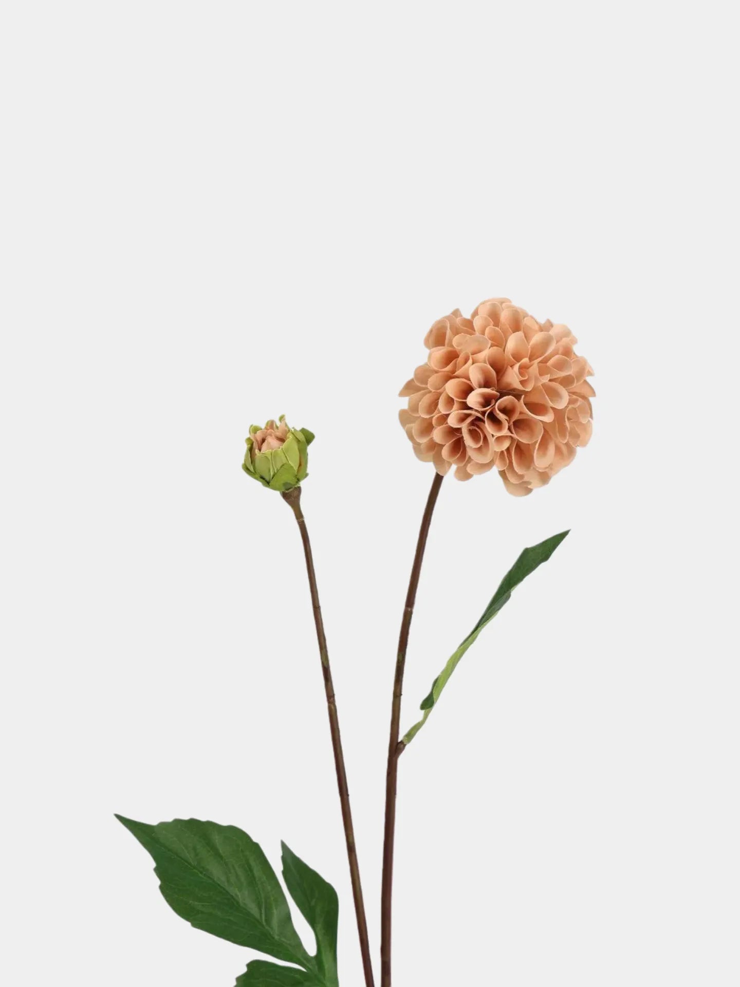 Real Touch Faux Dutch Dahlia Stem –22"