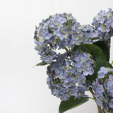 リアルタッチ フェイク アジサイ ステム - ブルーバイオレット 20"