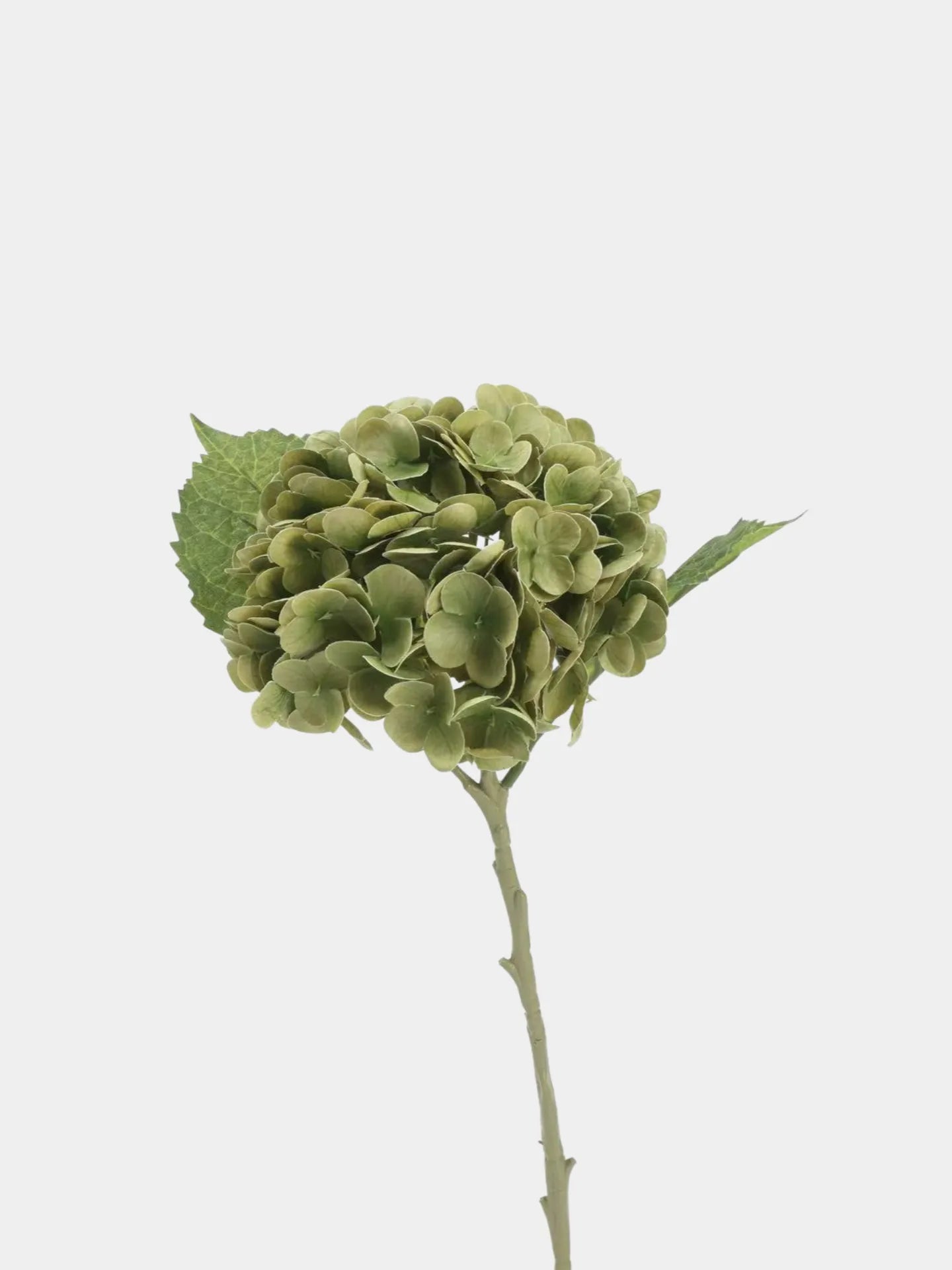 Real Touch Faux Hydrangea Stem -Green
