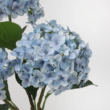 リアルタッチ フェイク アジサイ ステム - ライトブルー 20"