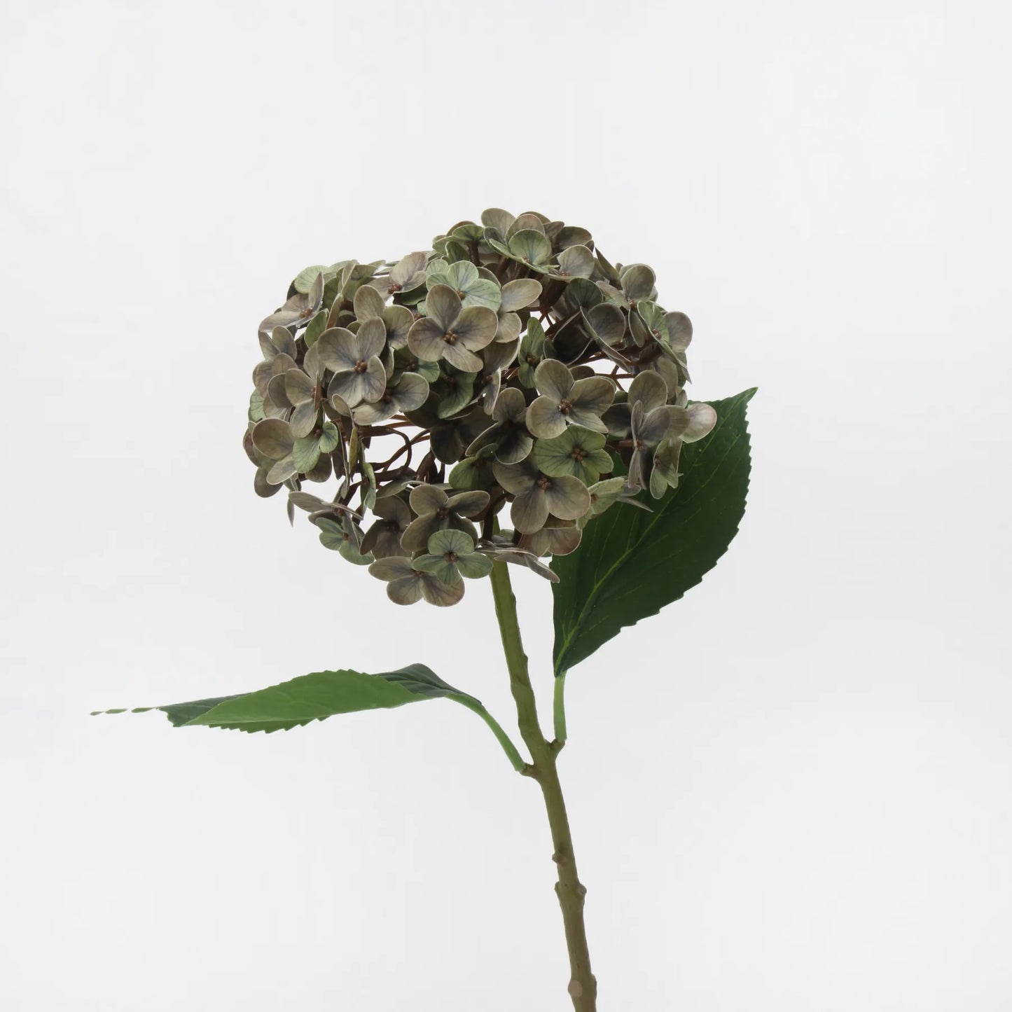 リアルタッチ フェイク アジサイ ステム - 薄緑 20インチ