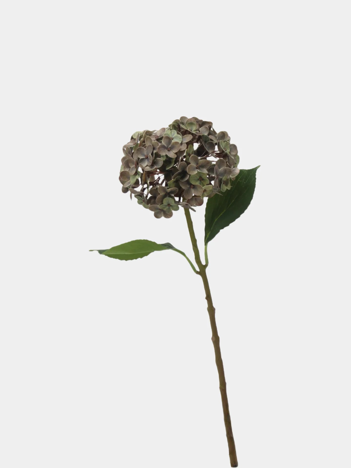 リアルタッチ フェイク アジサイ ステム - 薄緑 20インチ