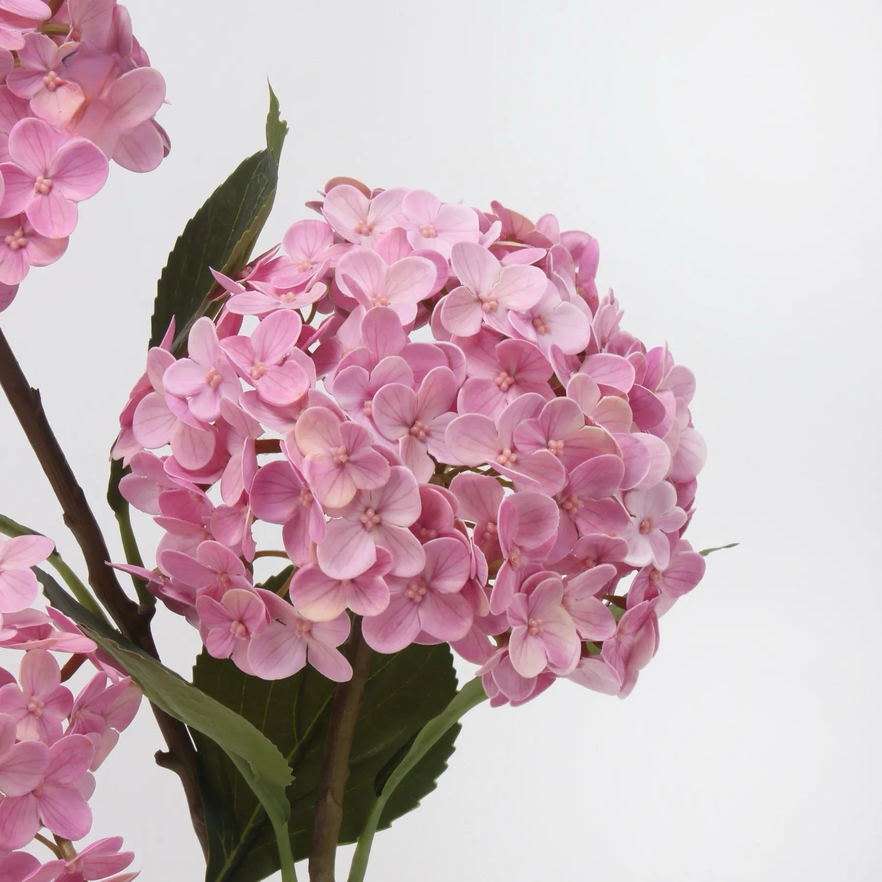 リアルタッチ フェイク アジサイ ステム - ピンク 20"