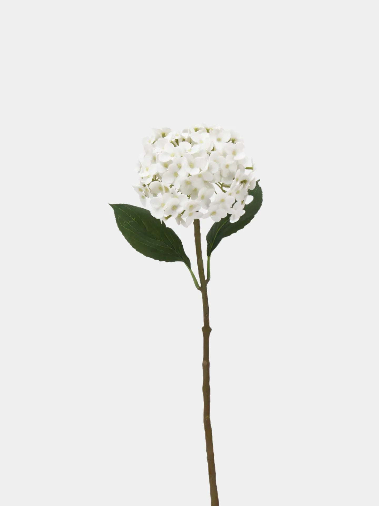 リアルタッチ フェイク アジサイ ステム - ホワイト 20インチ