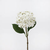リアルタッチ フェイク アジサイ ステム - ホワイト 20インチ