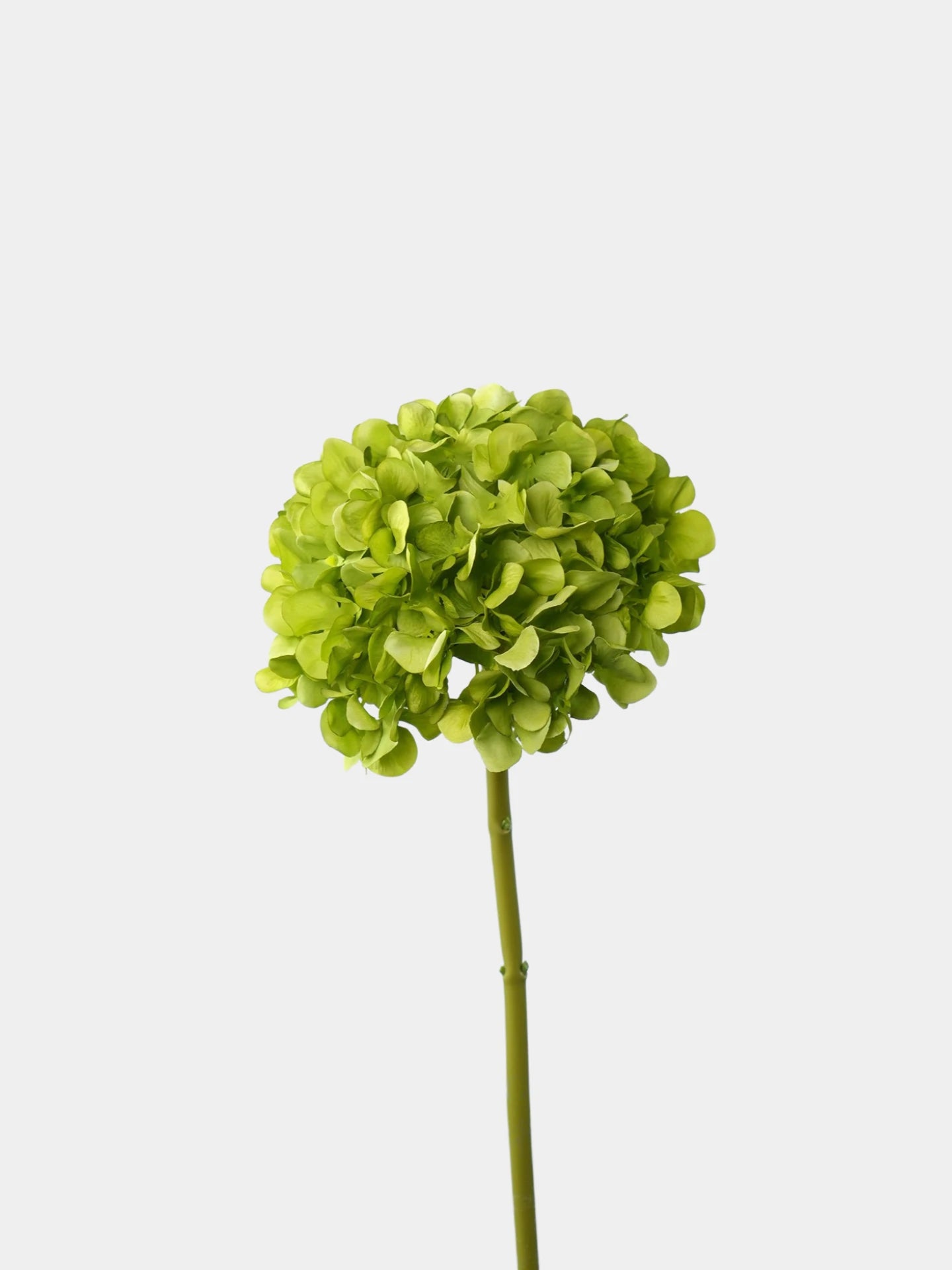 Hortensie Kunstblume „Real Touch“ – 45 cm