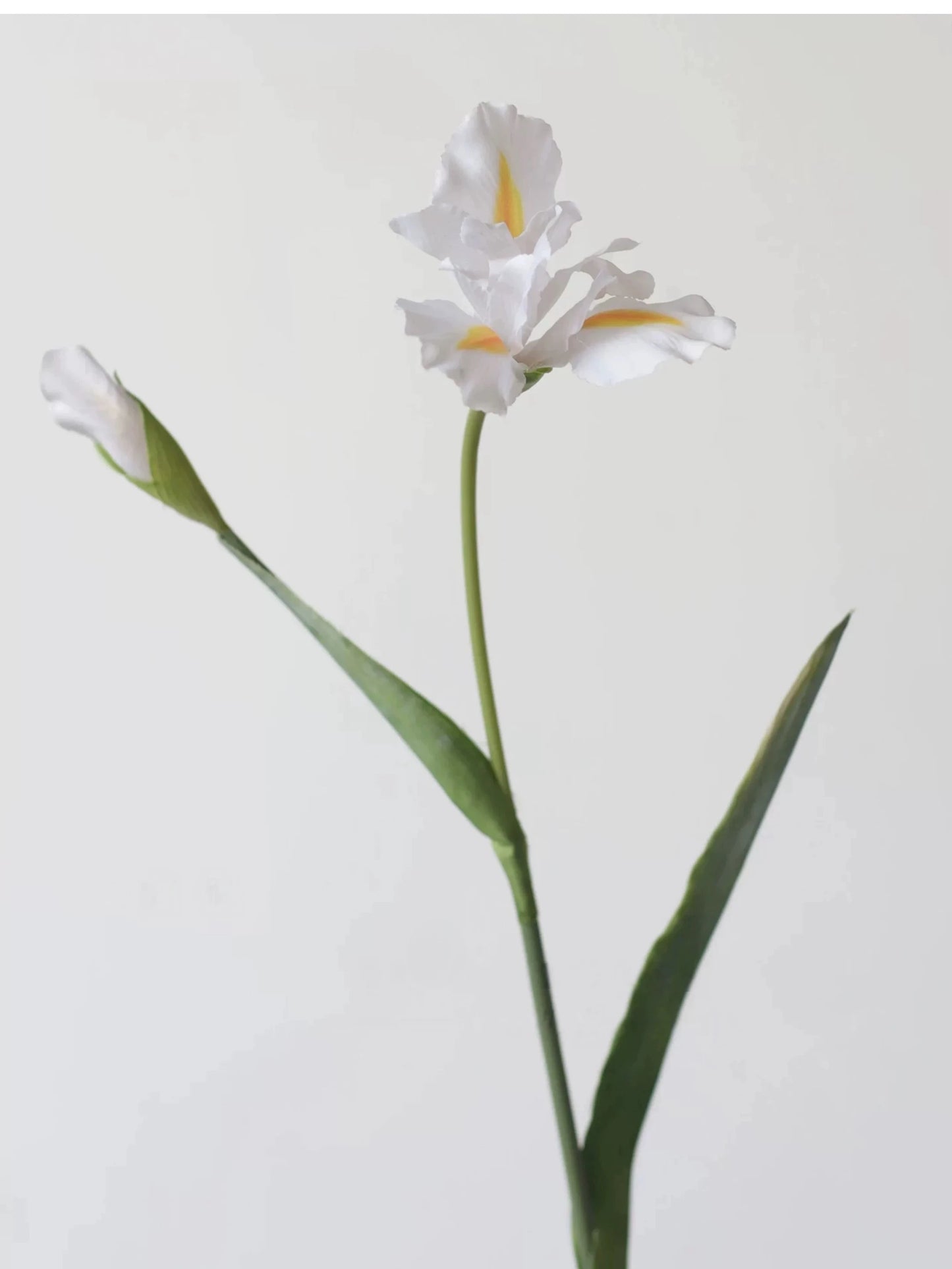Real Touch Faux Iris Flower Stem – 31"